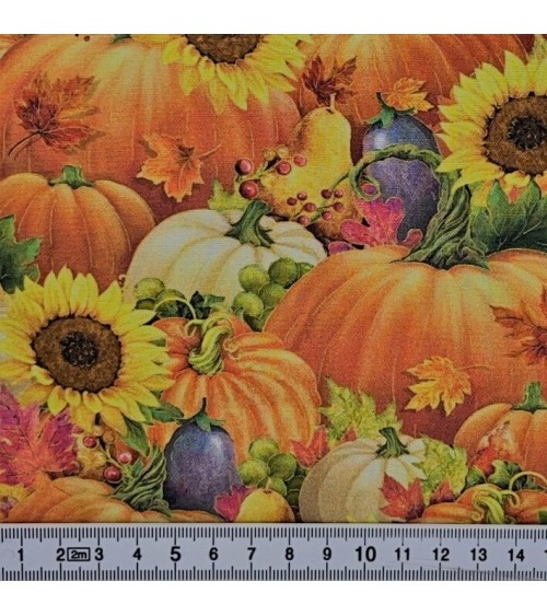 Tissu coton avec courges et fruits d'automne